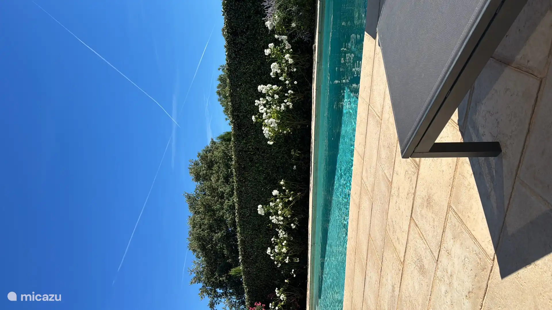Cooling and relaxation by the pool.