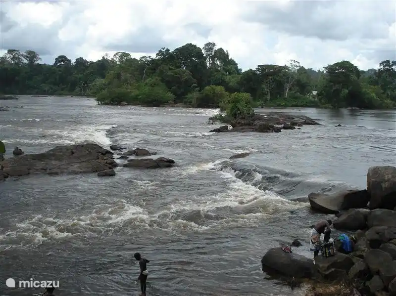 Todo el mundo está de acuerdo con el interior: ¡tiene un efecto desestresante! Y allí realmente ves un cielo estrellado por la noche.
