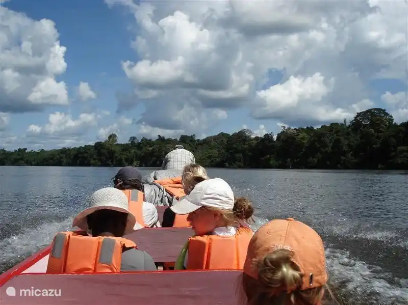 Aventura en la naturaleza. ¡Navegar en uno de los muchos ríos es imprescindible!
