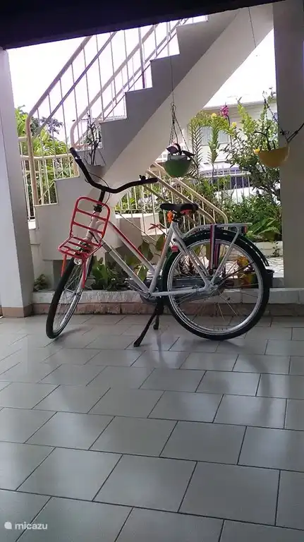 También puedes alquilar una bicicleta para viajes cortos.