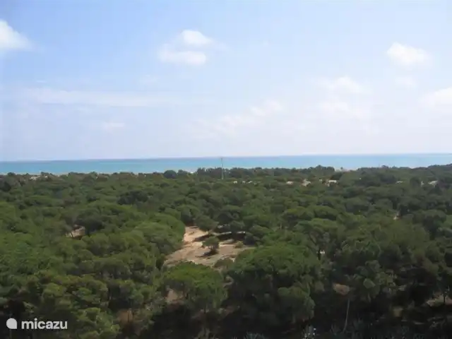 Ático Antaviana en España, Costa Blanca, Guardamar del Segura - penthouse Vista desde la azotea.