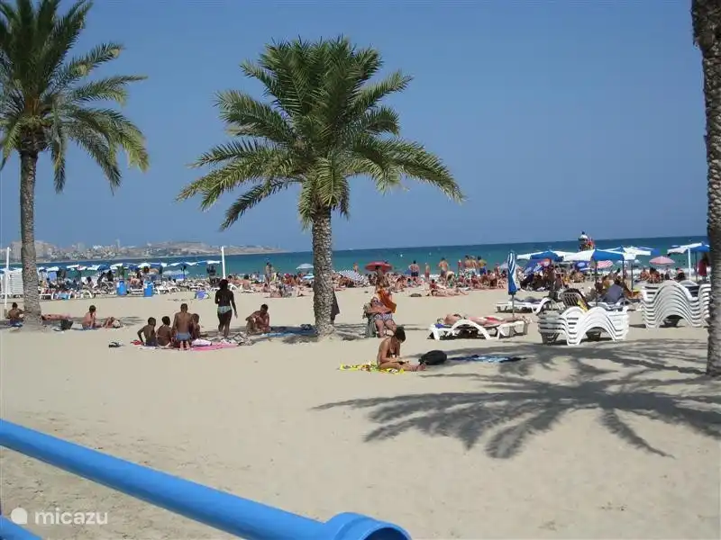 También puede buscar las multitudes.