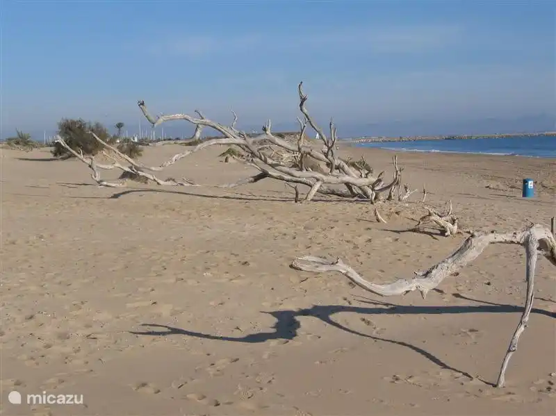 Todavía hermosas y tranquilas playas se pueden encontrar en Guardamar.