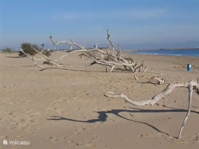 Ático Antaviana en España, Costa Blanca, Guardamar del Segura - penthouse Todavía hermosas y tranquilas playas se pueden encontrar en Guardamar.