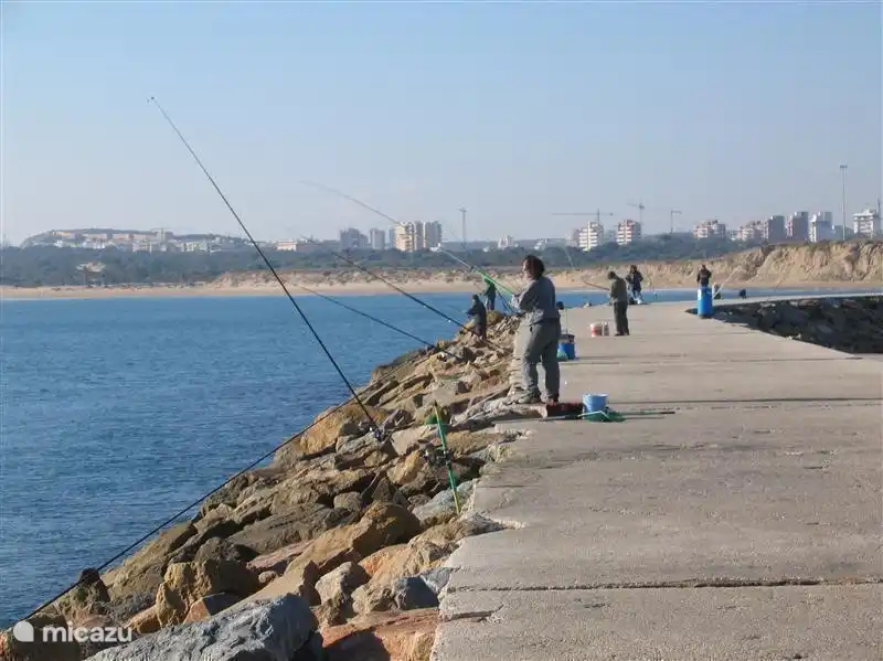El muelle de la desembocadura del Segura