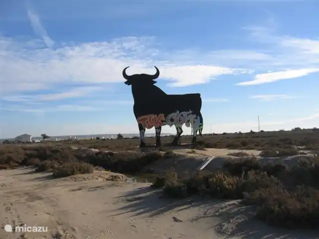 Ático Antaviana en España, Costa Blanca, Guardamar del Segura - penthouse ¡VIVA ESPAÑA!