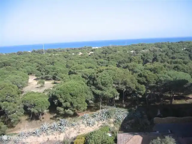 Ático Antaviana en España, Costa Blanca, Guardamar del Segura - penthouse Vista al océano.