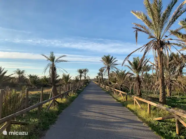 Ático Antaviana en España, Costa Blanca, Guardamar del Segura - penthouse