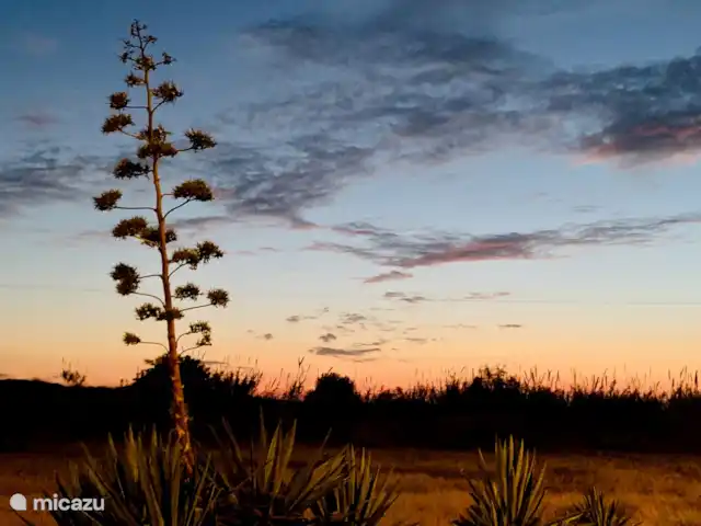 Ático Antaviana en España, Costa Blanca, Guardamar del Segura - penthouse