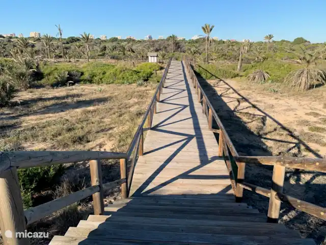 Ático Antaviana en España, Costa Blanca, Guardamar del Segura - penthouse