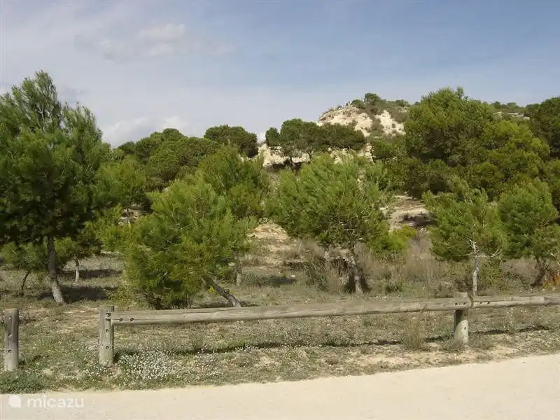 El Recorral Park, im Waldgebiet neben der Urbanisation.