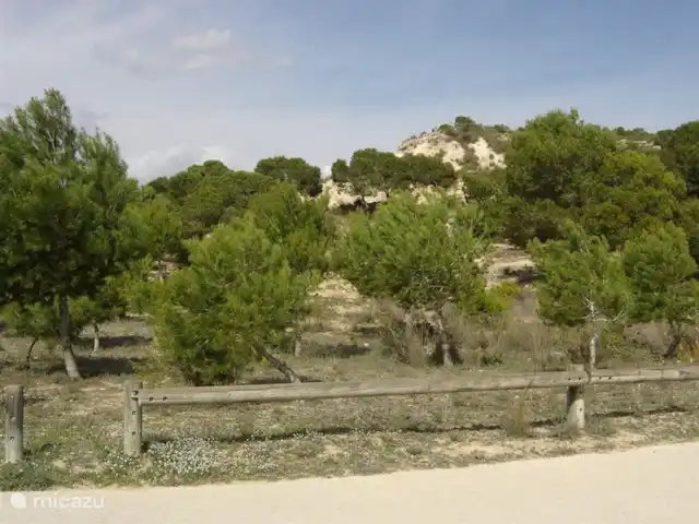 Villasol en España, Costa Blanca, Rojales  - villa Parque El Recorral, situado en la zona arbolada junto a la urbanización.