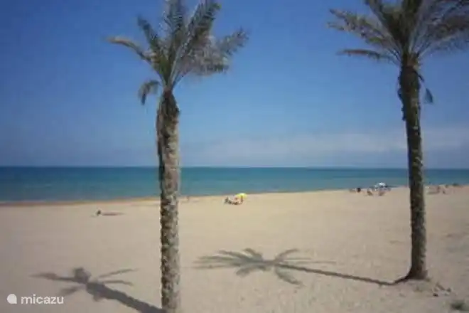 Der schöne Strand von Guardamar del Segura.