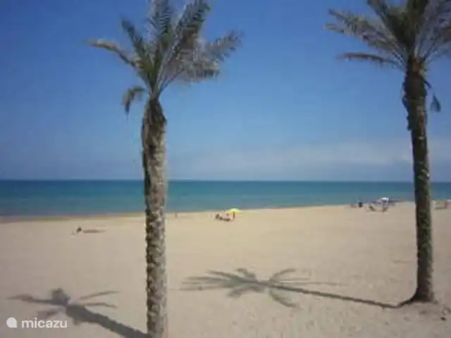 Villasol en España, Costa Blanca, Rojales  - villa La hermosa playa de Guardamar del Segura.