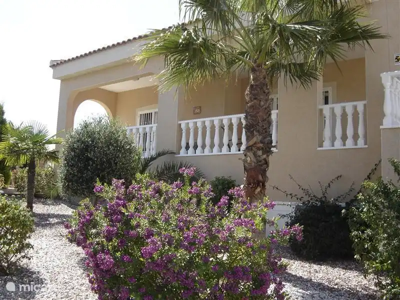 Garten mit überdachter Terrasse in den Hintergrund.