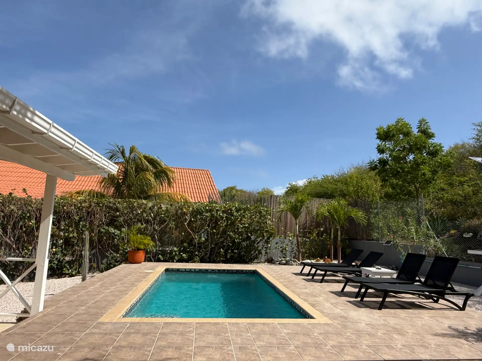 Amplia piscina de 6x3 m2, con amplio jardín trasero con mucha privacidad