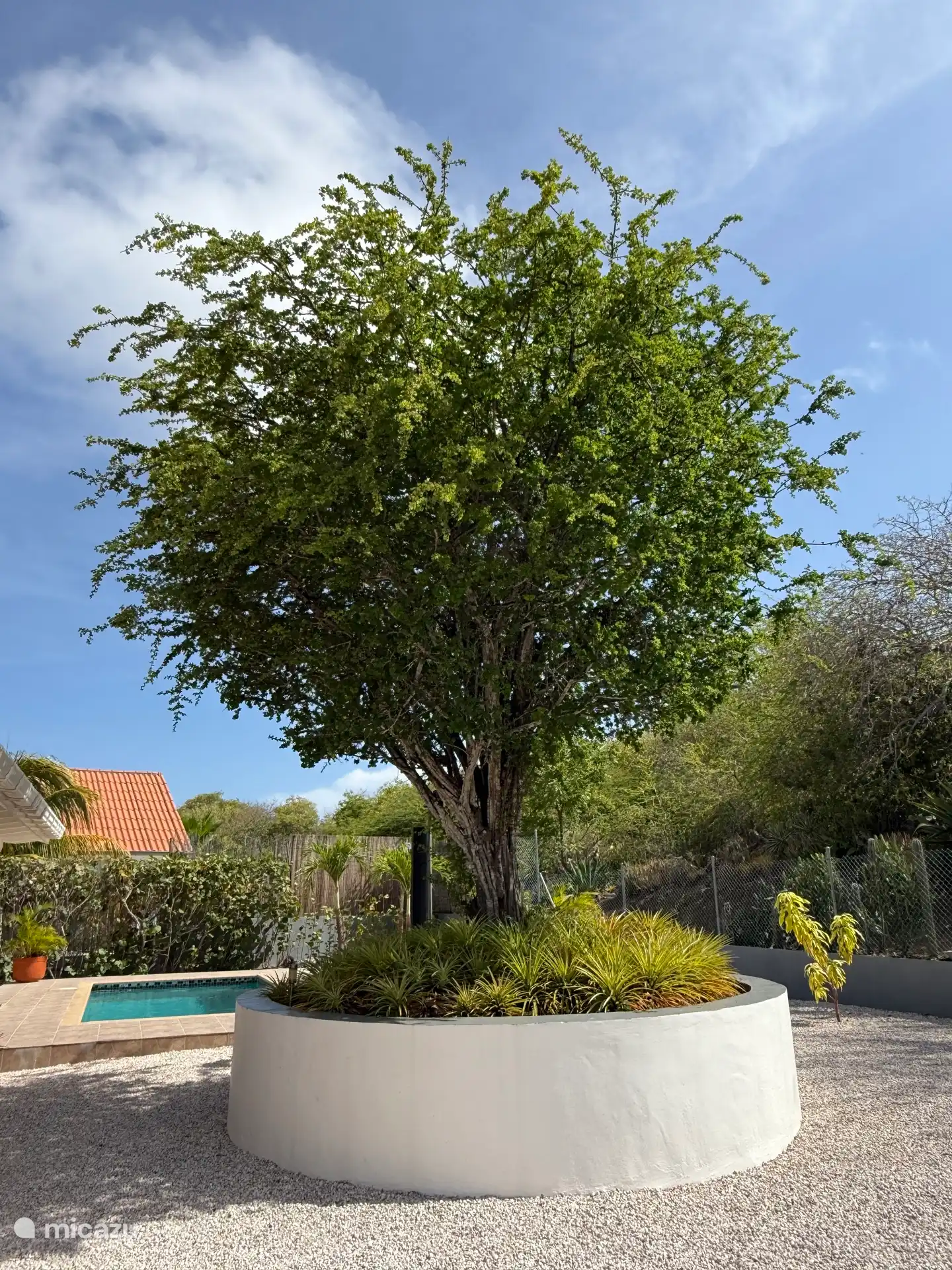 Mucha naturaleza con muchos pájaros