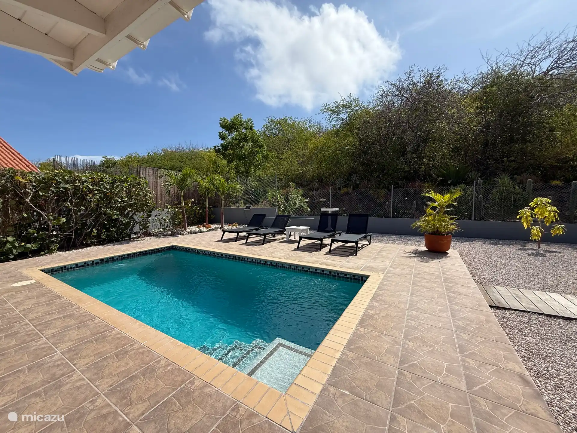 Amplia piscina de 6x3 m2, con amplio jardín trasero con mucha privacidad