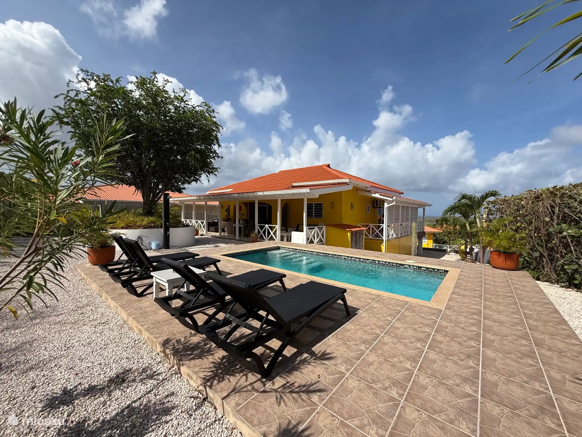 Amplia piscina de 6x3 m2, con amplio jardín trasero con mucha privacidad