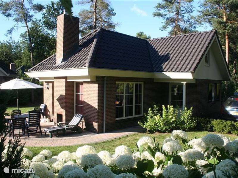 Vakantiehuis Nederland, Gelderland, Beekbergen Villa Stervilla Q13 Beekbergen