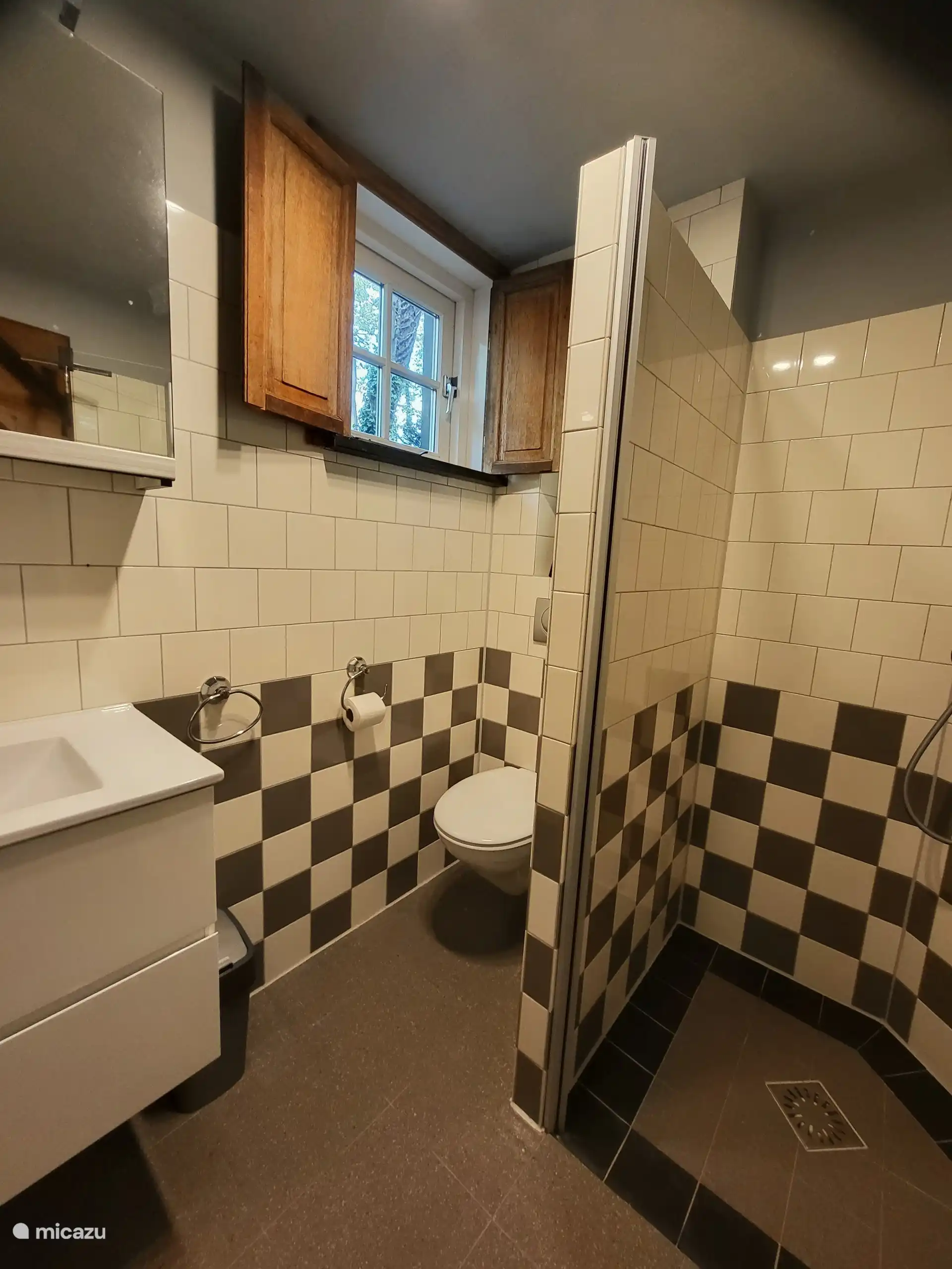 badkamer met toilet, wasmeubel en inloop douche