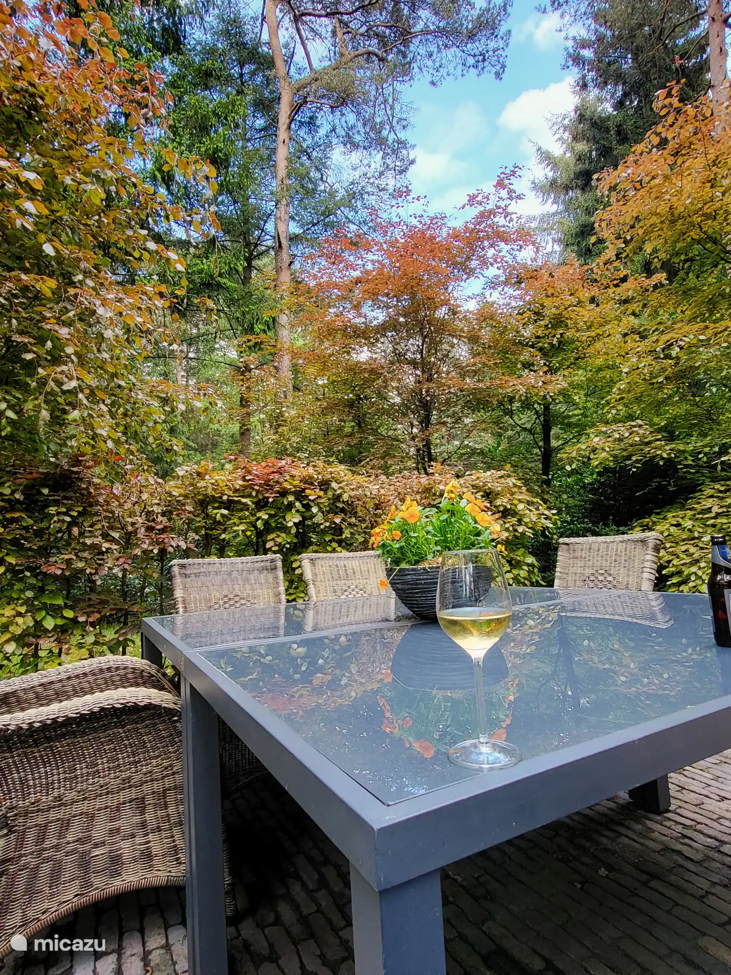 Enjoy the terrace