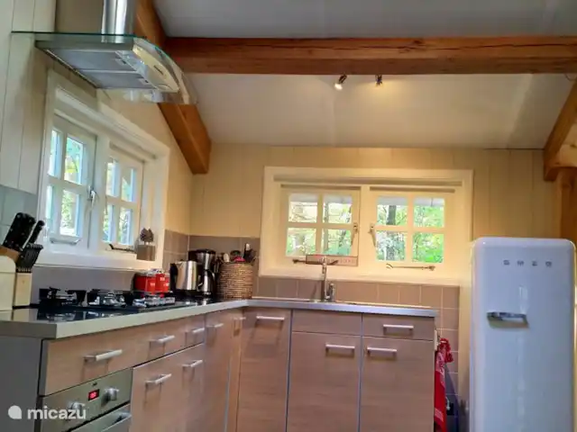 Le pic | Pays-Bas, Gueldre, Emst (Epe) - maison de vacances La cuisine ouverte avec four, lave-vaisselle et réfrigérateur Smeg.