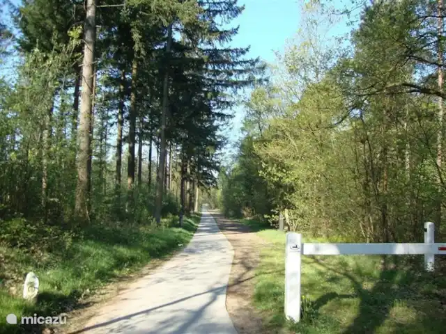 Le pic | Pays-Bas, Gueldre, Emst (Epe) - maison de vacances Het Loo, qui borde le parc.