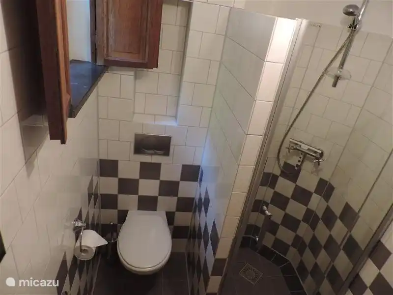 De badkamer met inloopdouche toilet en badmeubel.