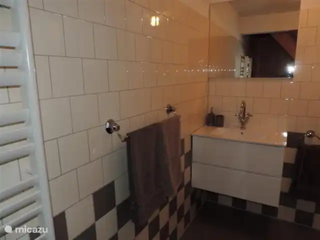Le pic | Pays-Bas, Gueldre, Emst (Epe) - maison de vacances La salle de bain.