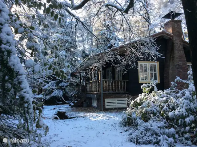 Le pic | Pays-Bas, Gueldre, Emst (Epe) - maison de vacances Scène d'hiver.