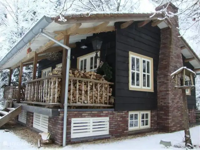 Le pic | Pays-Bas, Gueldre, Emst (Epe) - maison de vacances Vue d'hiver.