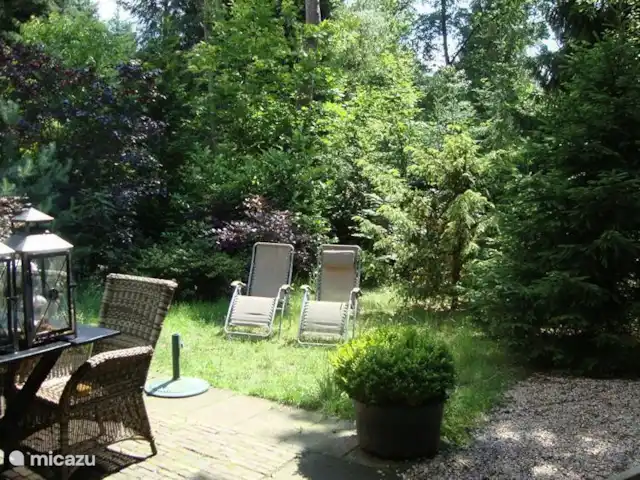 Le pic | Pays-Bas, Gueldre, Emst (Epe) - maison de vacances Il y a un joli jardin boisé autour de la maison.