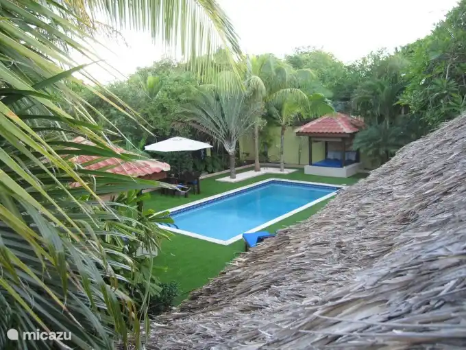 Een kijk op het zwembad van bovenaf.