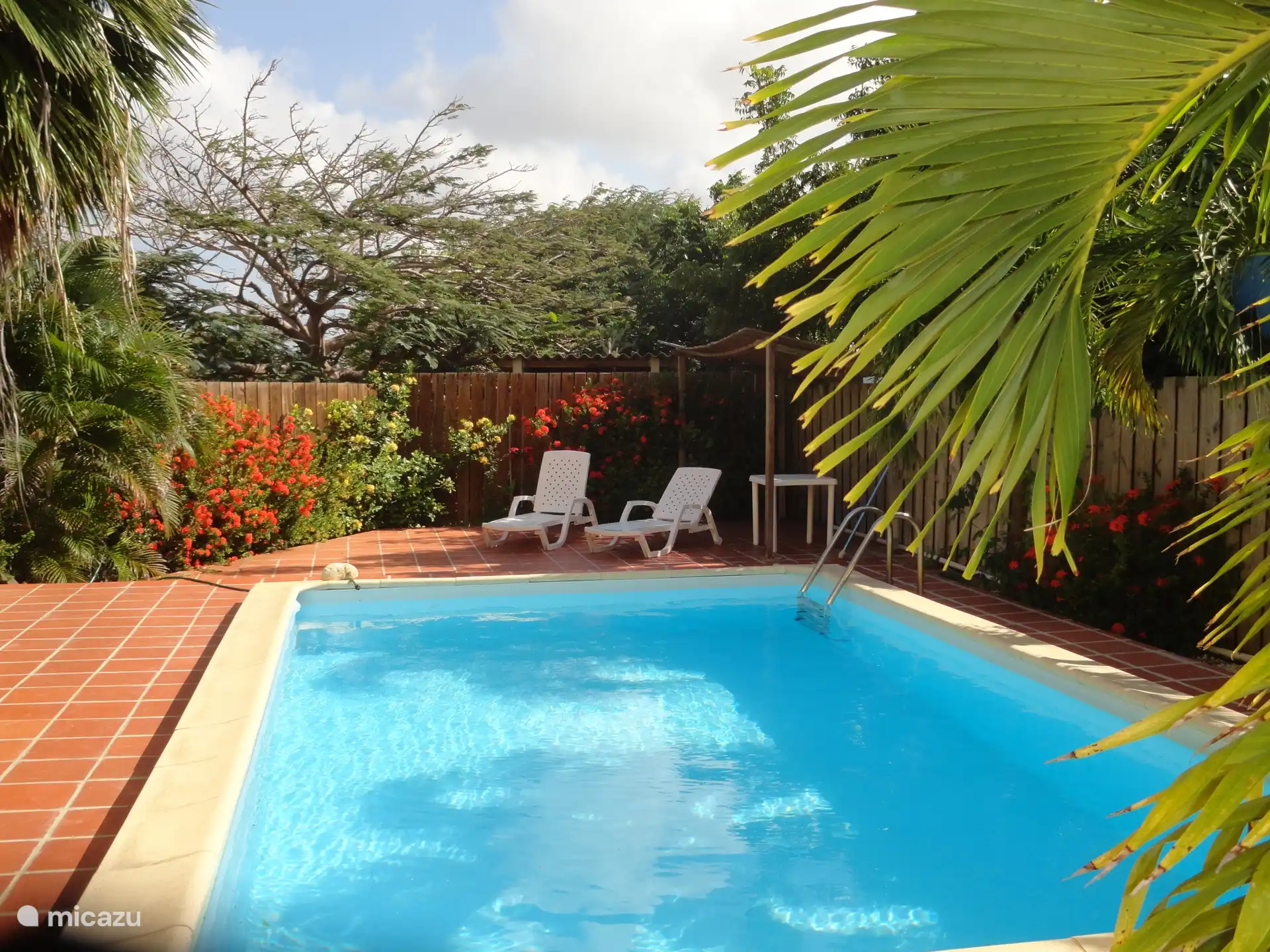 Garten mit Swimmingpool