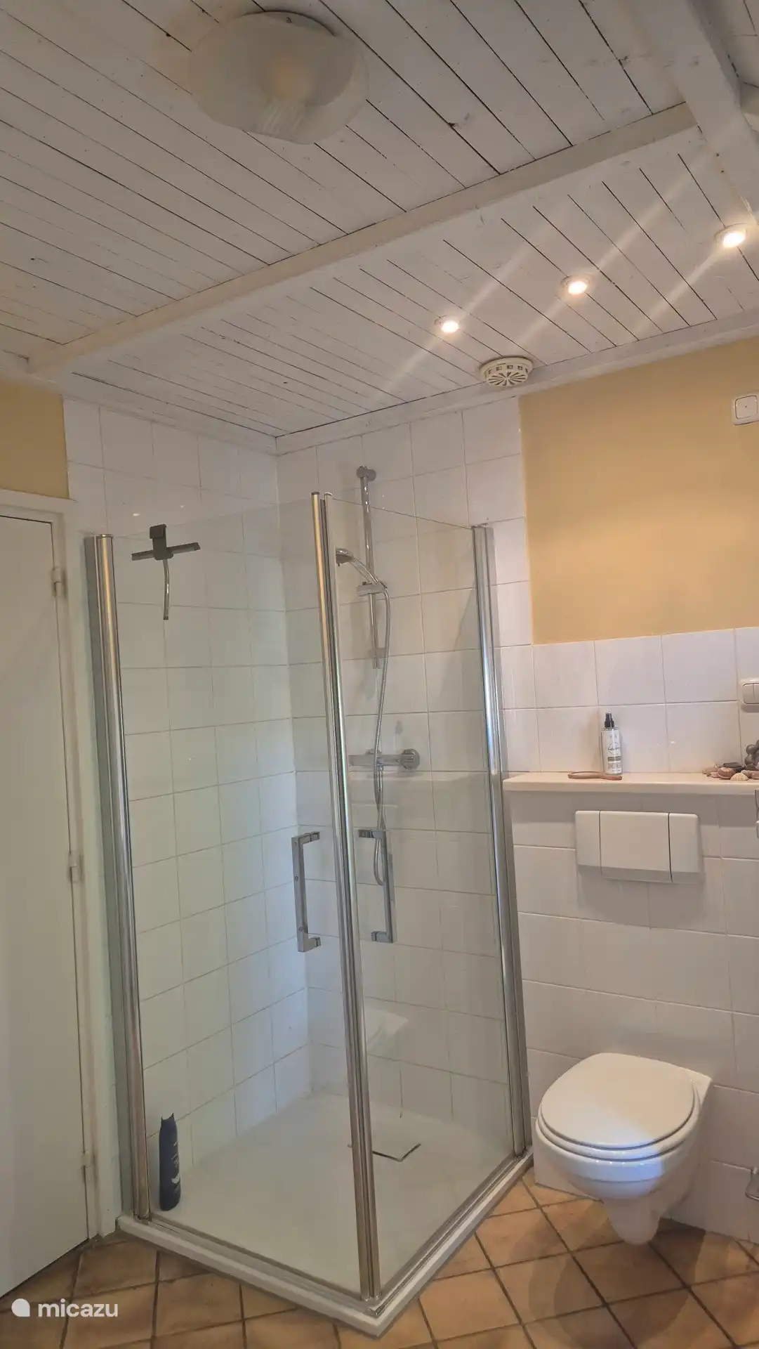 Walk-in shower
