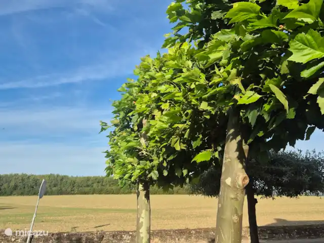 Casa Sibbe en Países Bajos, Limburgo, Valkenburg - casa vacacional Vista frontal