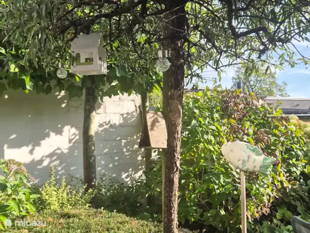 Casa Sibbe en Países Bajos, Limburgo, Valkenburg - casa vacacional Jardín