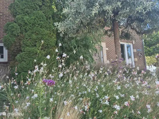 Casa Sibbe en Países Bajos, Limburgo, Valkenburg - casa vacacional Frente de la casa