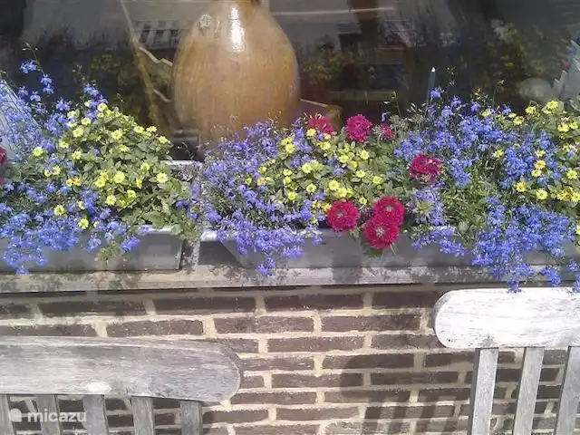 Casa Sibbe en Países Bajos, Limburgo, Valkenburg - casa vacacional Cajas de flores bellamente llenas en el alféizar de la ventana exterior