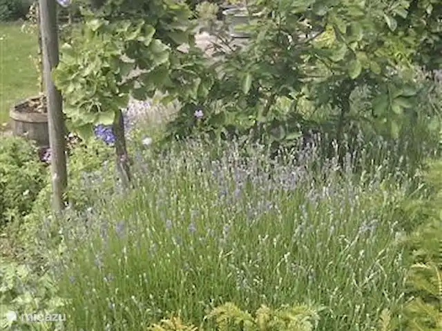 Casa Sibbe en Países Bajos, Limburgo, Valkenburg - casa vacacional Jardín