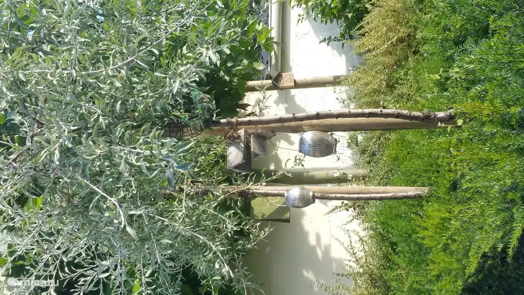 atmosphere impression...