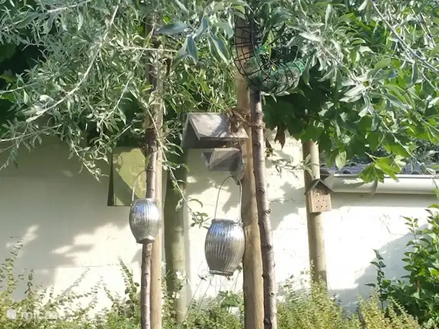 Casa Sibbe en Países Bajos, Limburgo, Valkenburg - casa vacacional impresión de la atmósfera...