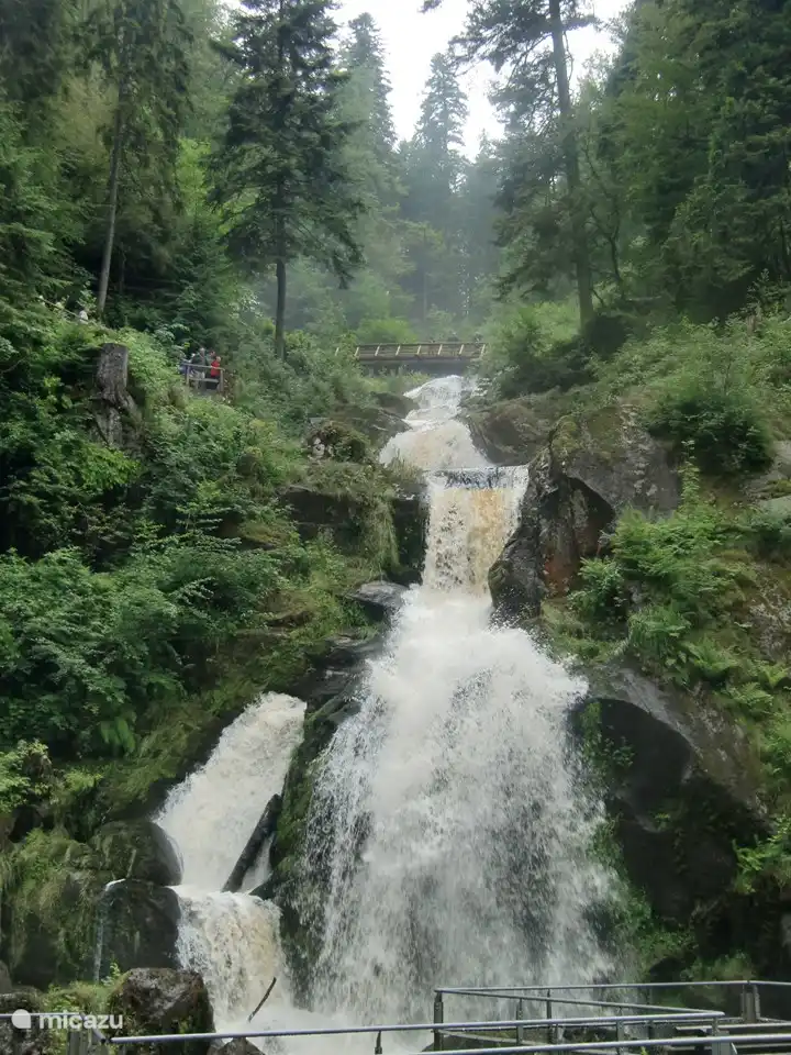 Breitachklamm-Sommer