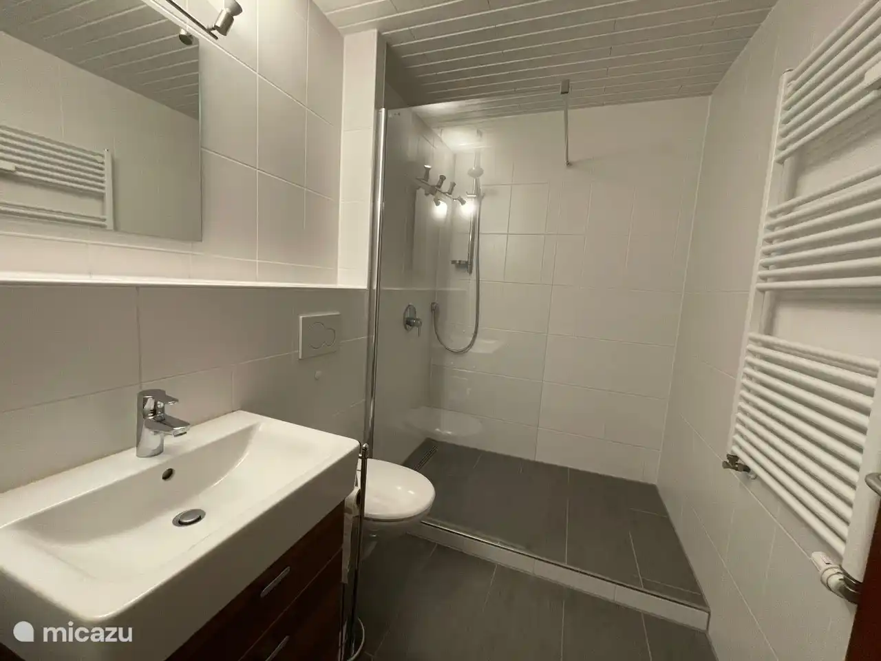 Badezimmer mit begehbarer Dusche, Waschbecken und WC