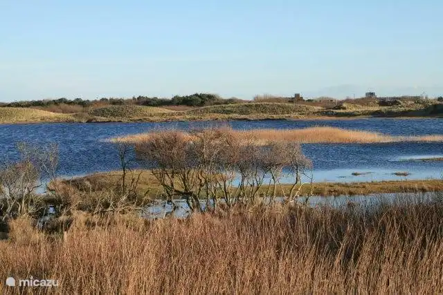 Swan Wasser, Europas größte Düne Wasser ..