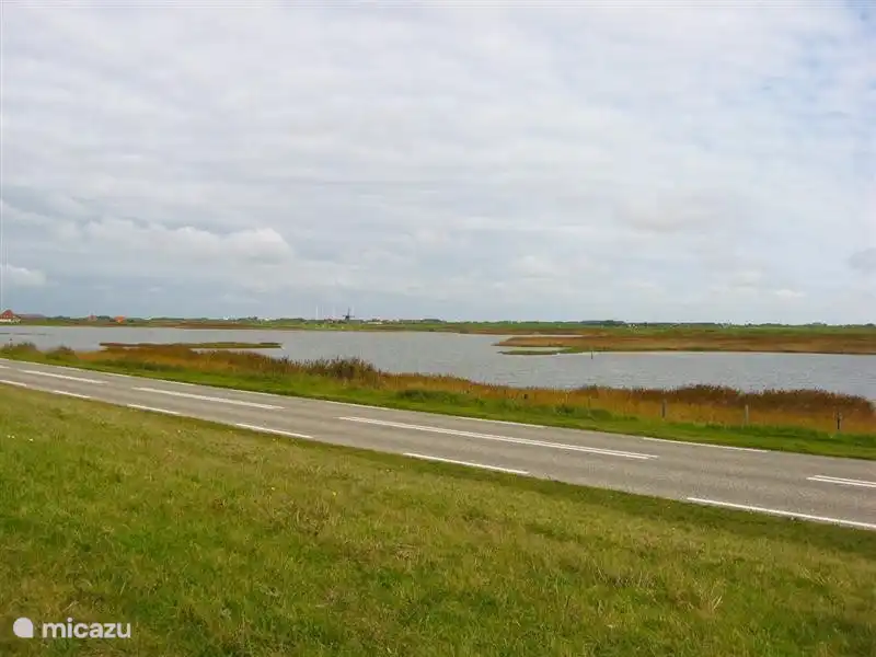 Natuurgebiedje über die Dünen bei Camperduin.