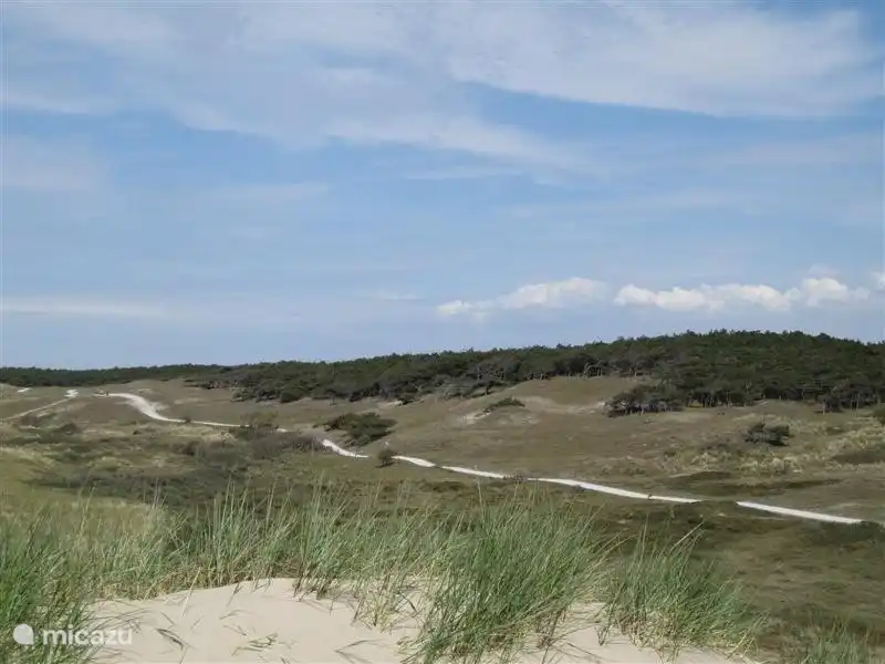 Die Dünen bei caps. Sie können Radtouren durch hier genießen.