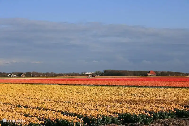 Der Frühling ist gut :)