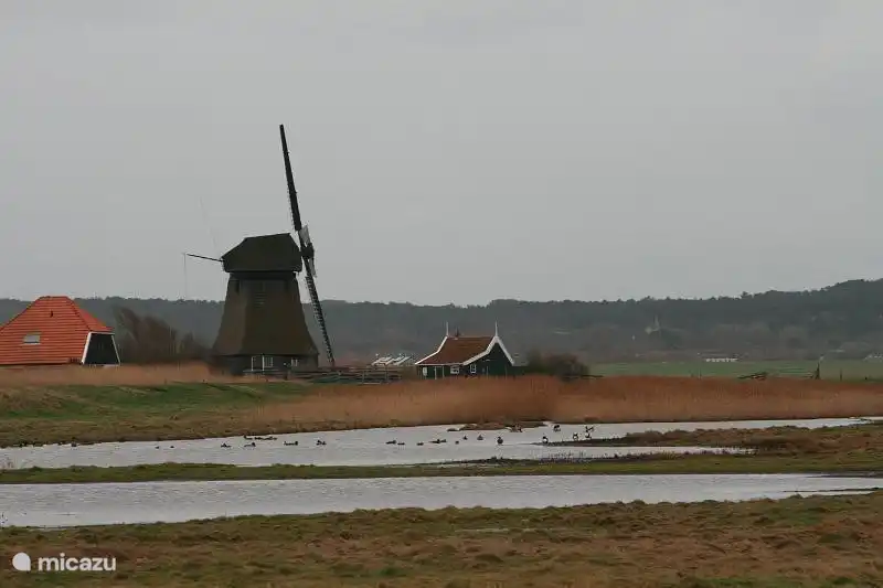 Die Mühle, die in der Nähe der Dünen. Es gibt dort 10 in unmittelbarer Nähe ... Die Mühle Tour Radfahren ist auch sehr schön.